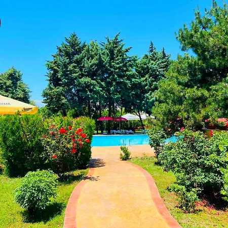 Consul 3* סבטי ולאס